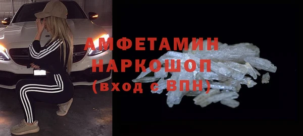 индика Кулебаки