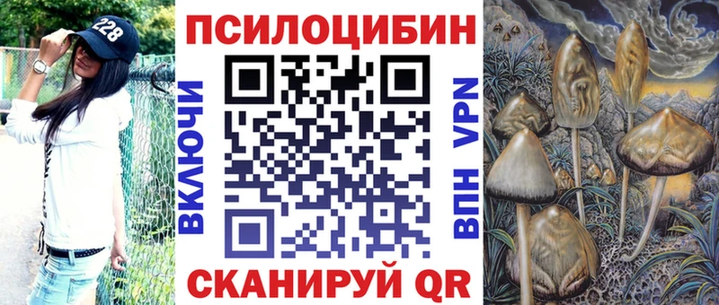 Псилоцибиновые грибы Psilocybe  Нальчик 